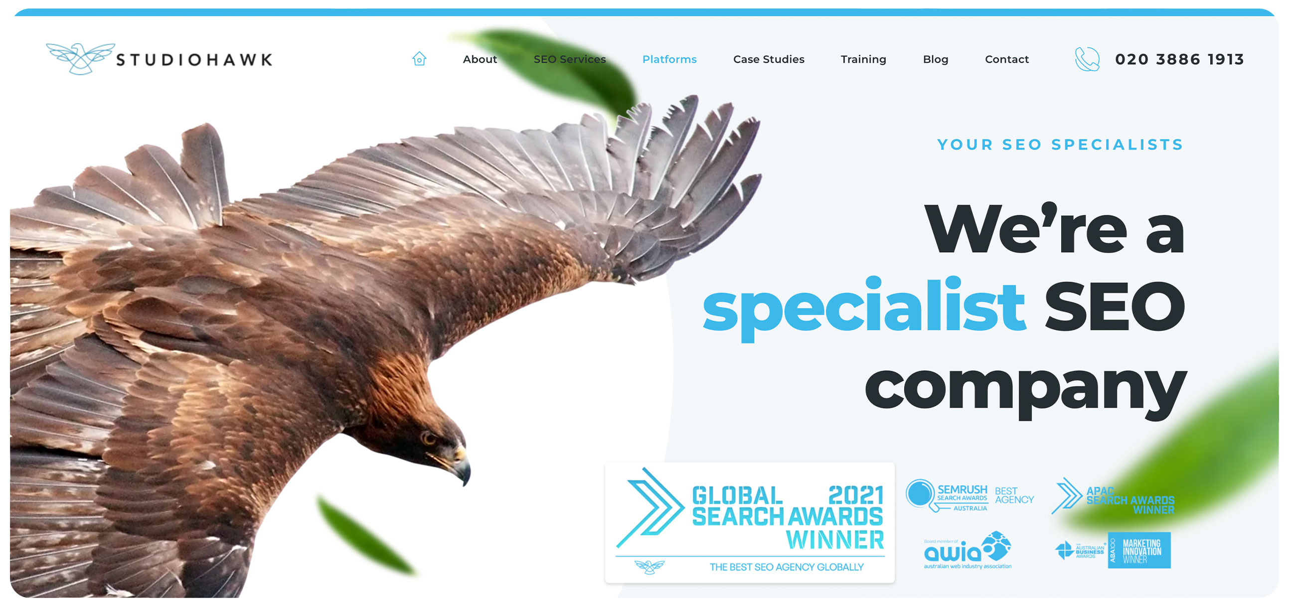 StudioHawk – Specialist SEO agency for Shopify and WordPress